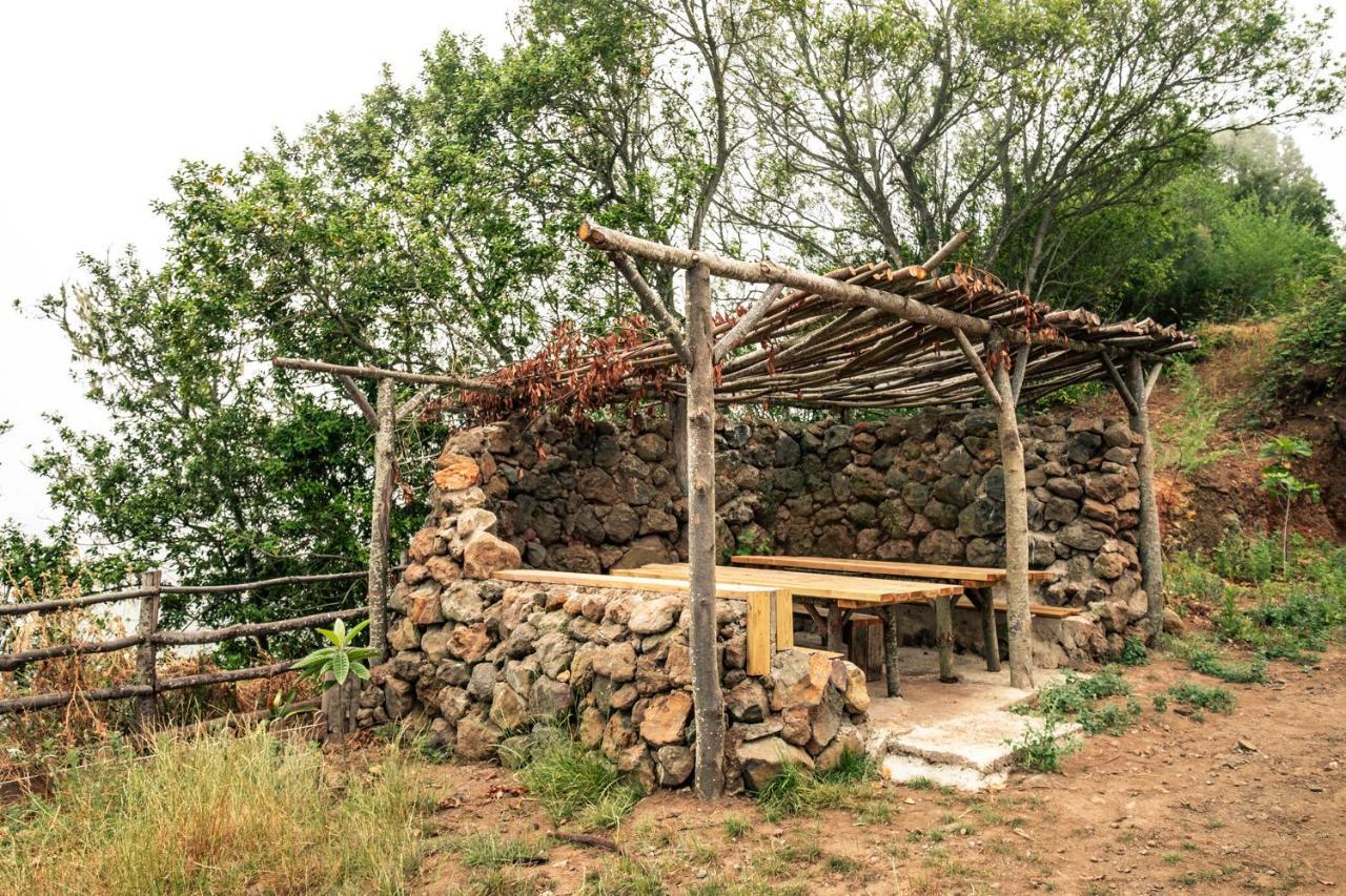 El Pino Centenario 8 La Orotava Zewnętrze zdjęcie