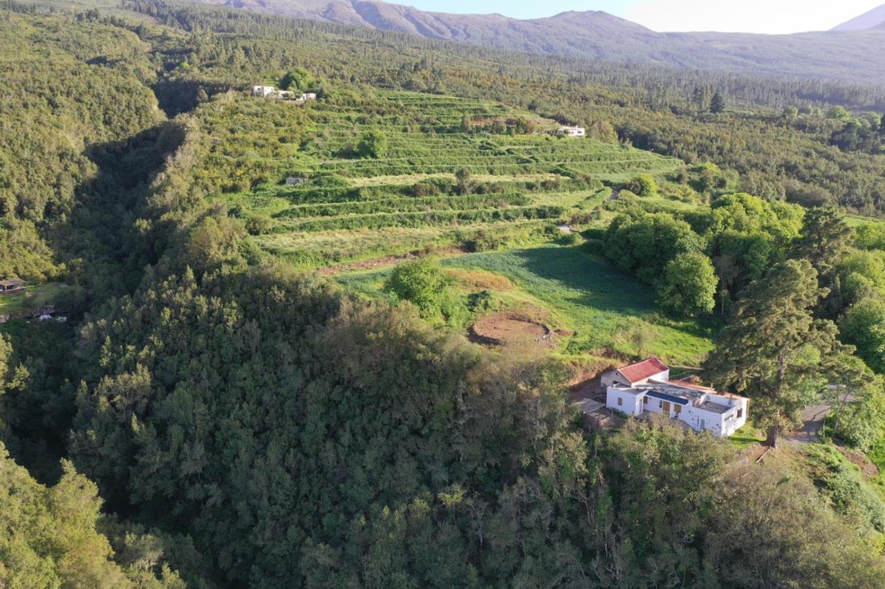 El Pino Centenario 8 La Orotava Zewnętrze zdjęcie
