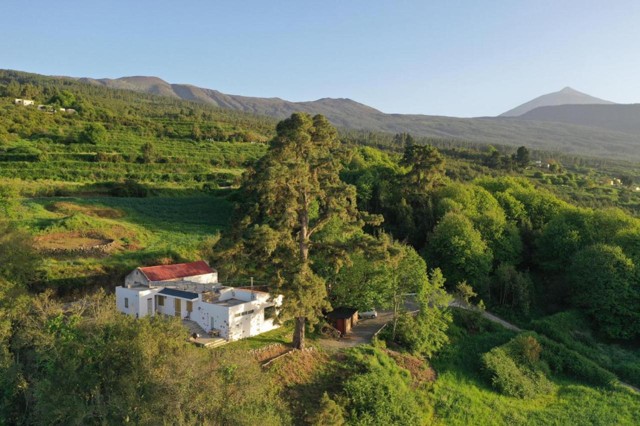 El Pino Centenario 8 La Orotava Zewnętrze zdjęcie